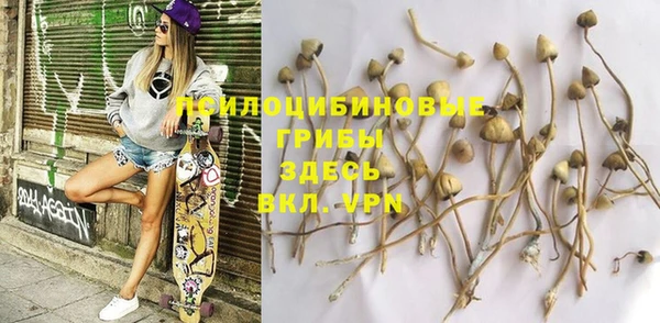 ПСИЛОЦИБИНОВЫЕ ГРИБЫ Абдулино