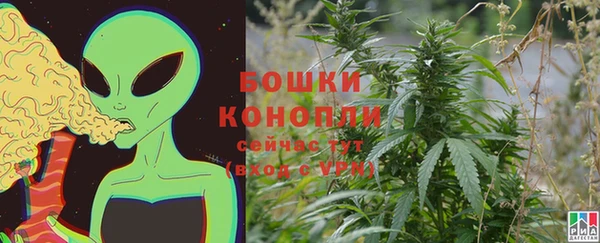 ПСИЛОЦИБИНОВЫЕ ГРИБЫ Абдулино