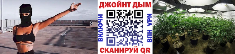 дарнет шоп  Новотитаровская  Бошки марихуана MAZAR 